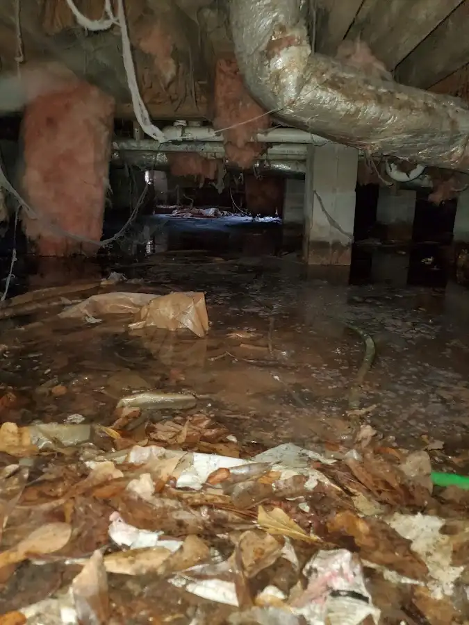 Crawl space flood assessment for Commercial Water Damage Restoration in Georgetown